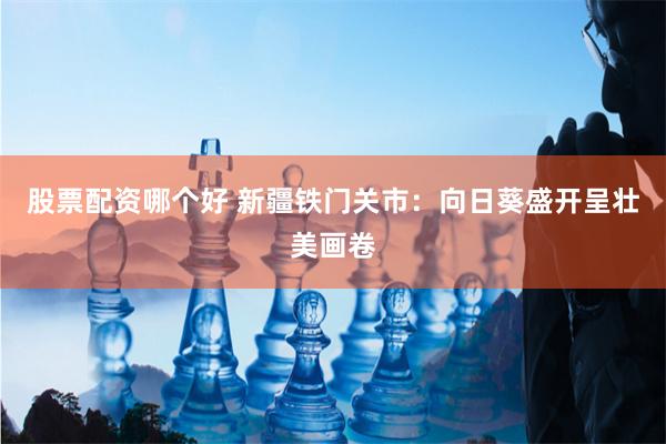 股票配资哪个好 新疆铁门关市：向日葵盛开呈壮美画卷
