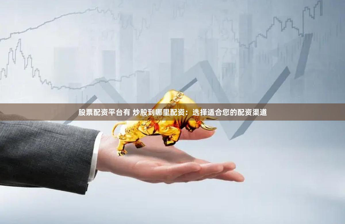 股票配资平台有 炒股到哪里配资：选择适合您的配资渠道